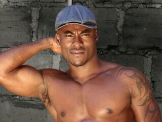 StevenAlba's Profile Picture